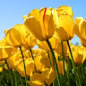 Meet your Posher, Rebekah